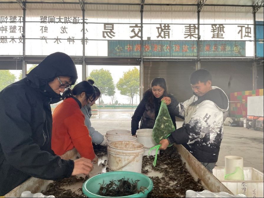 湖南政协新闻网