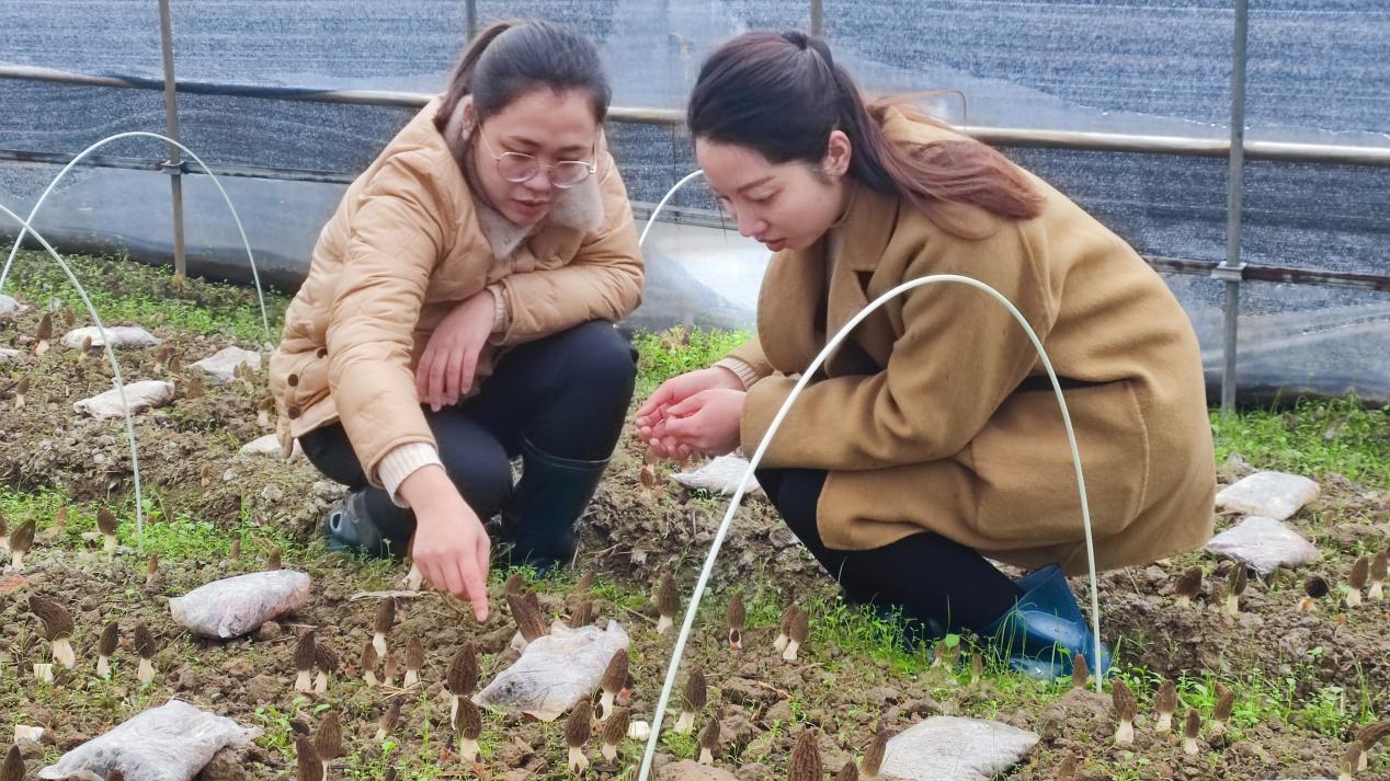 湖南政协新闻网