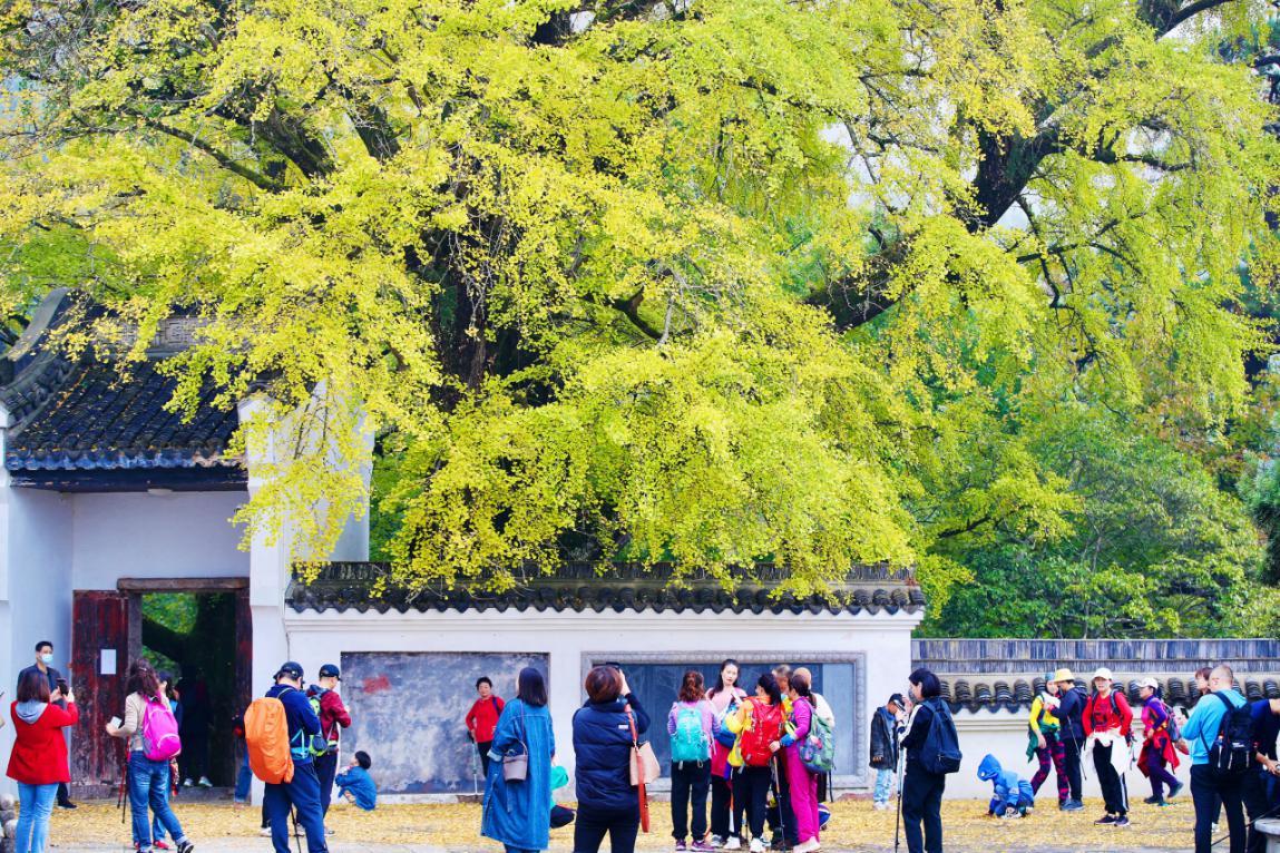 湖南政协新闻网