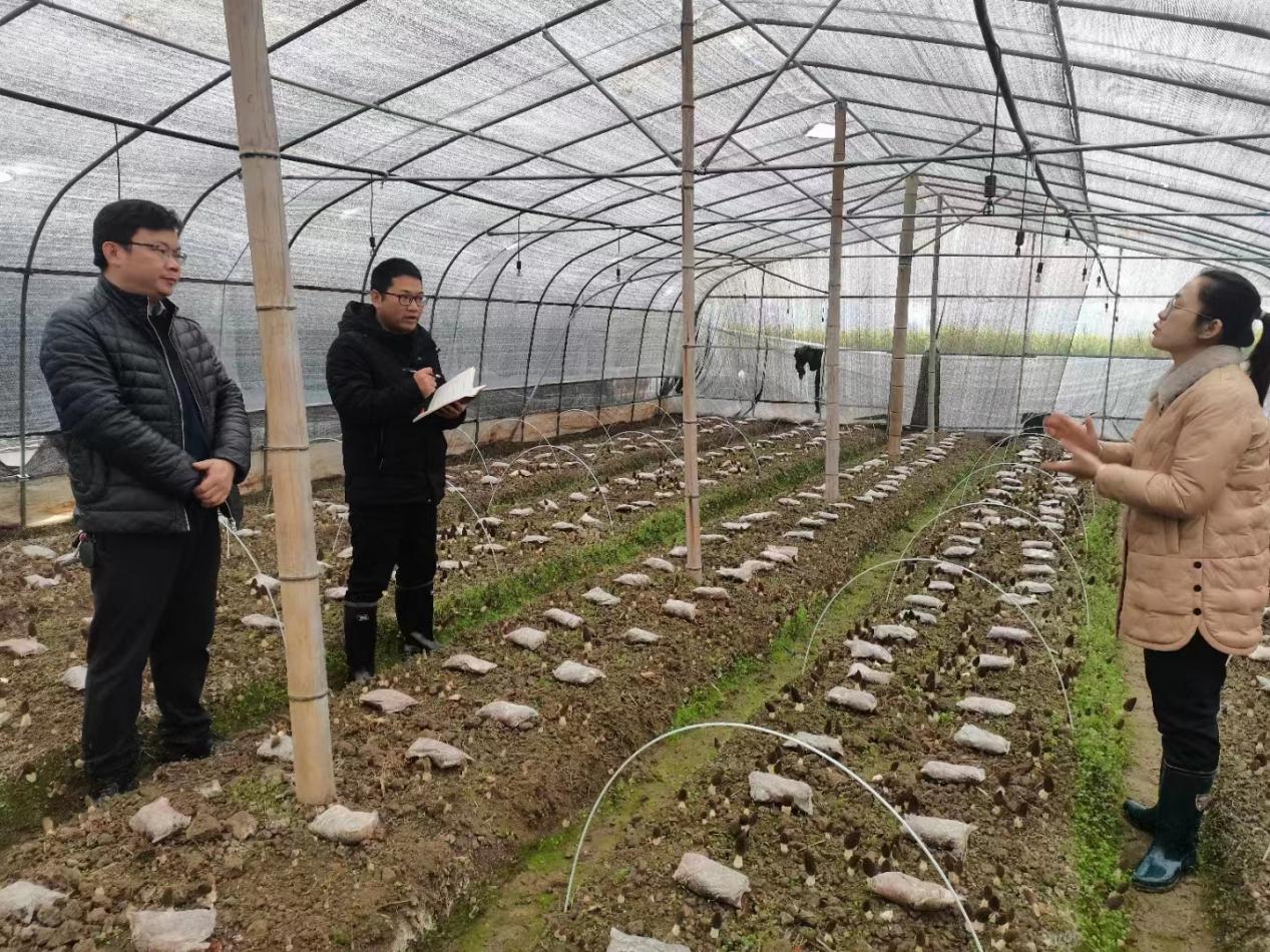 湖南政协新闻网