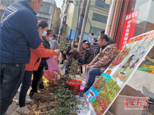湖南政协新闻网
