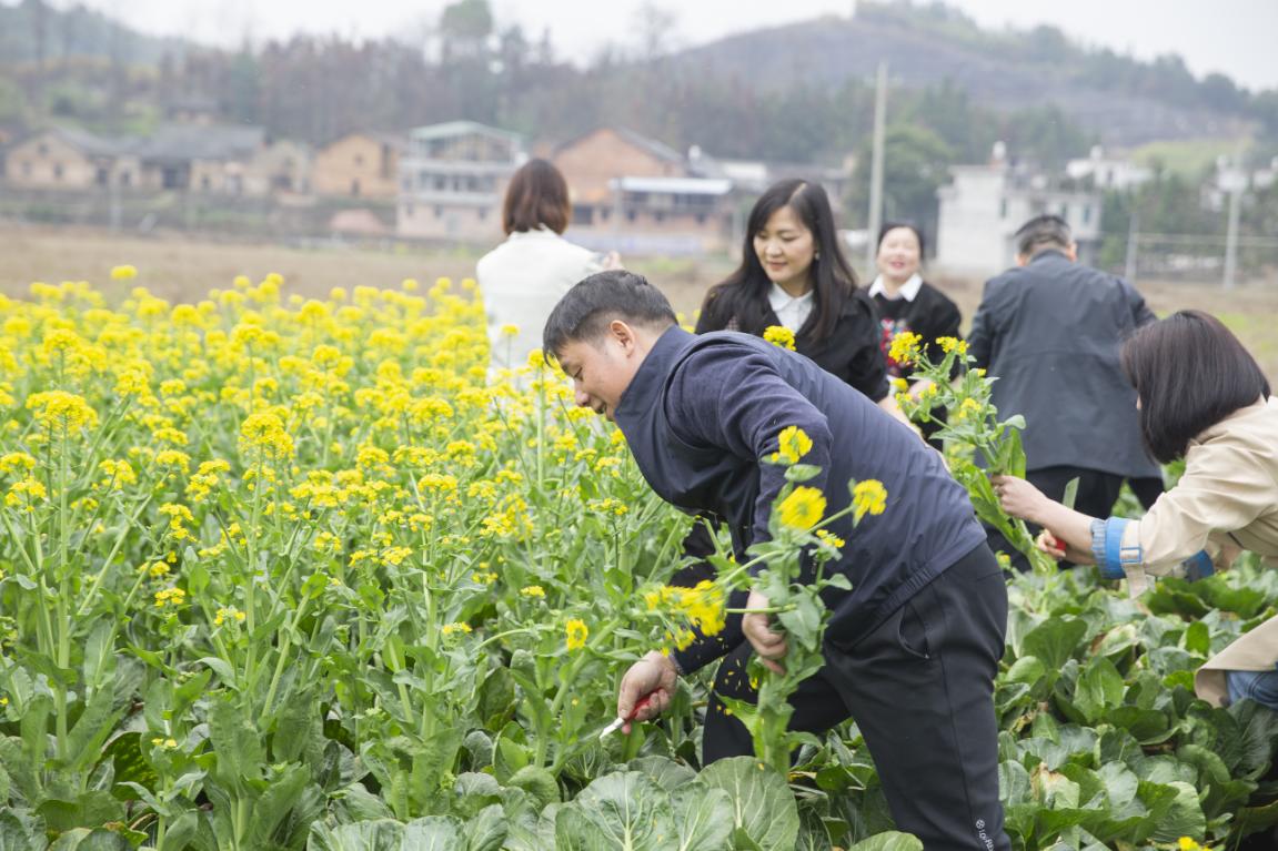 湖南政协新闻网