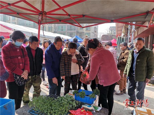 湖南政协新闻网