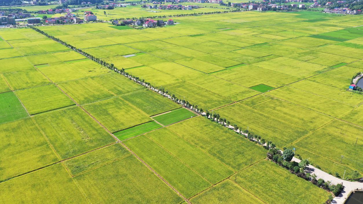 湖南政协新闻网