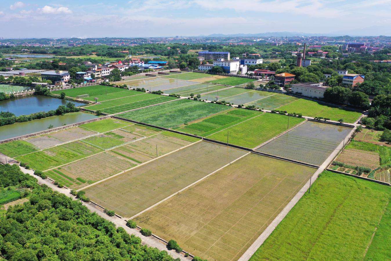 湖南政协新闻网