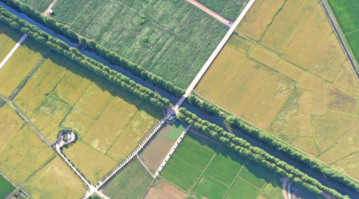 湖南政协新闻网