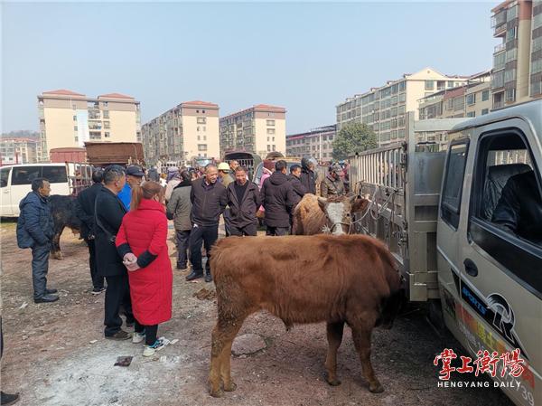 湖南政协新闻网