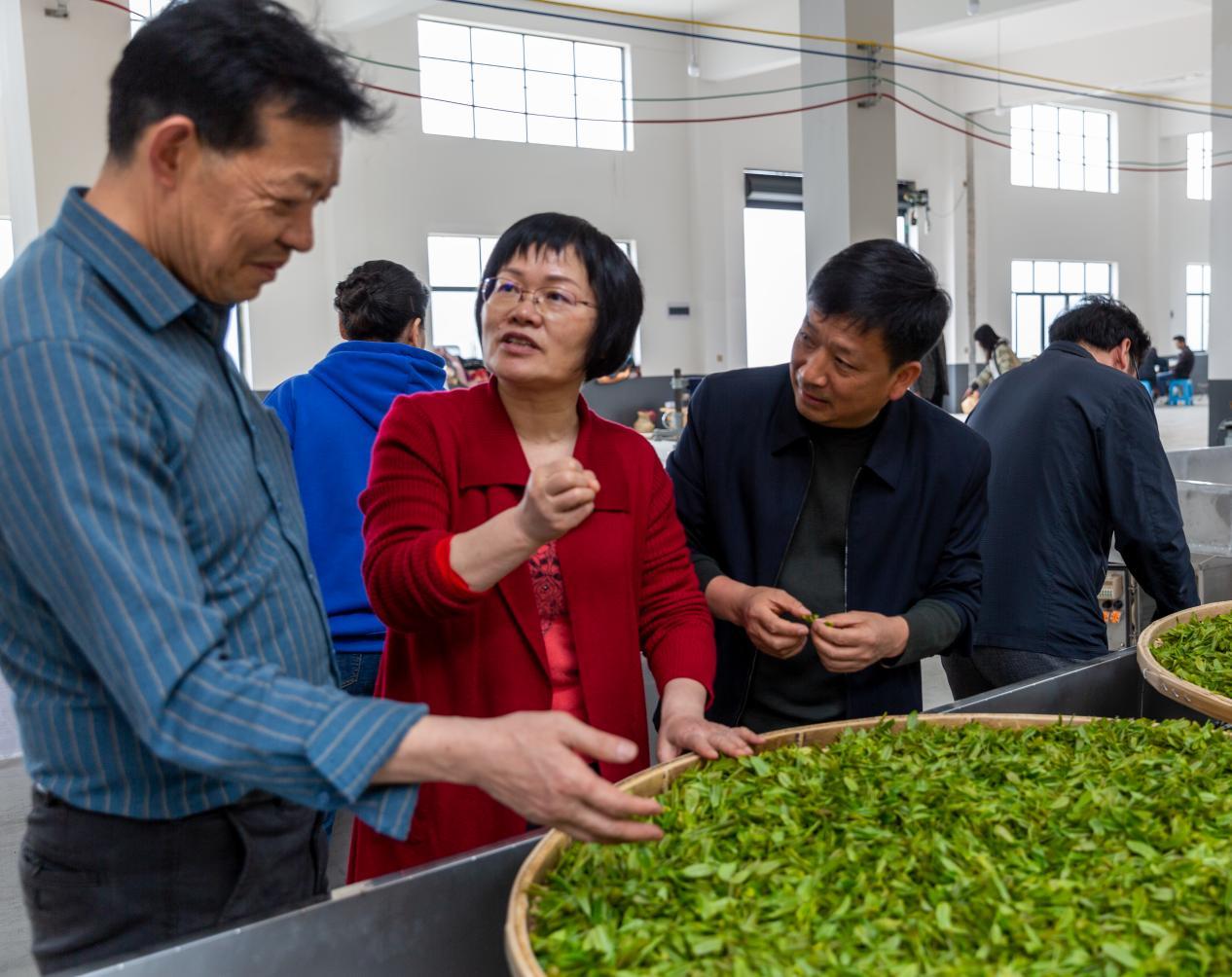 湖南政协新闻网