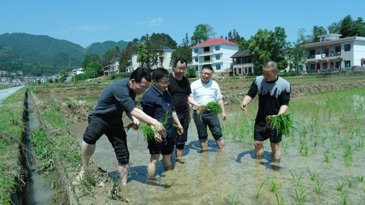 湖南政协新闻网