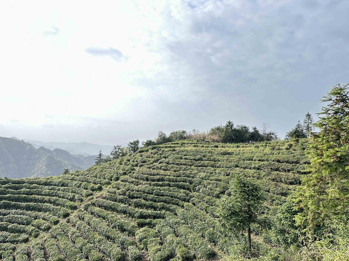 湖南政协新闻网