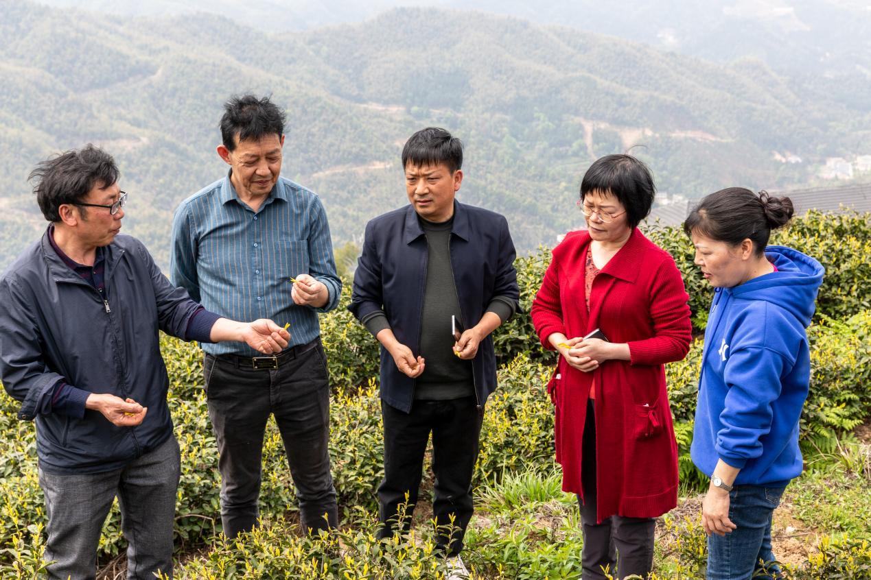 湖南政协新闻网