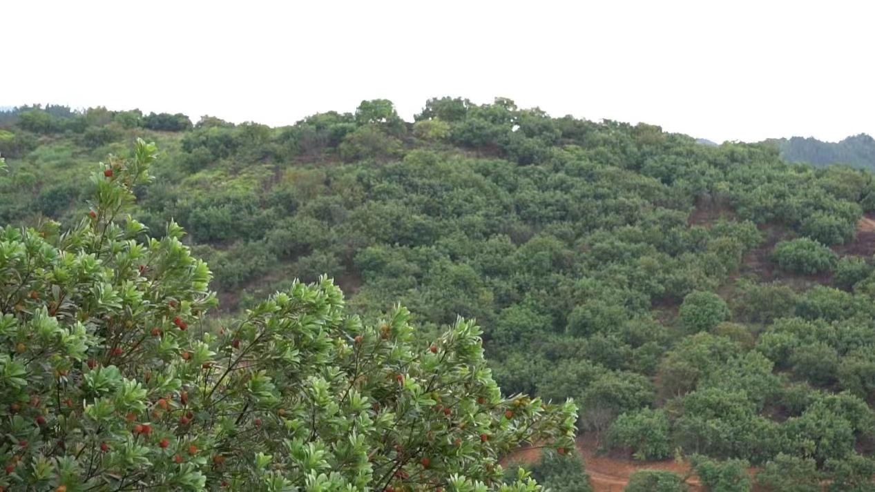 湖南政协新闻网 湖南政协新闻网