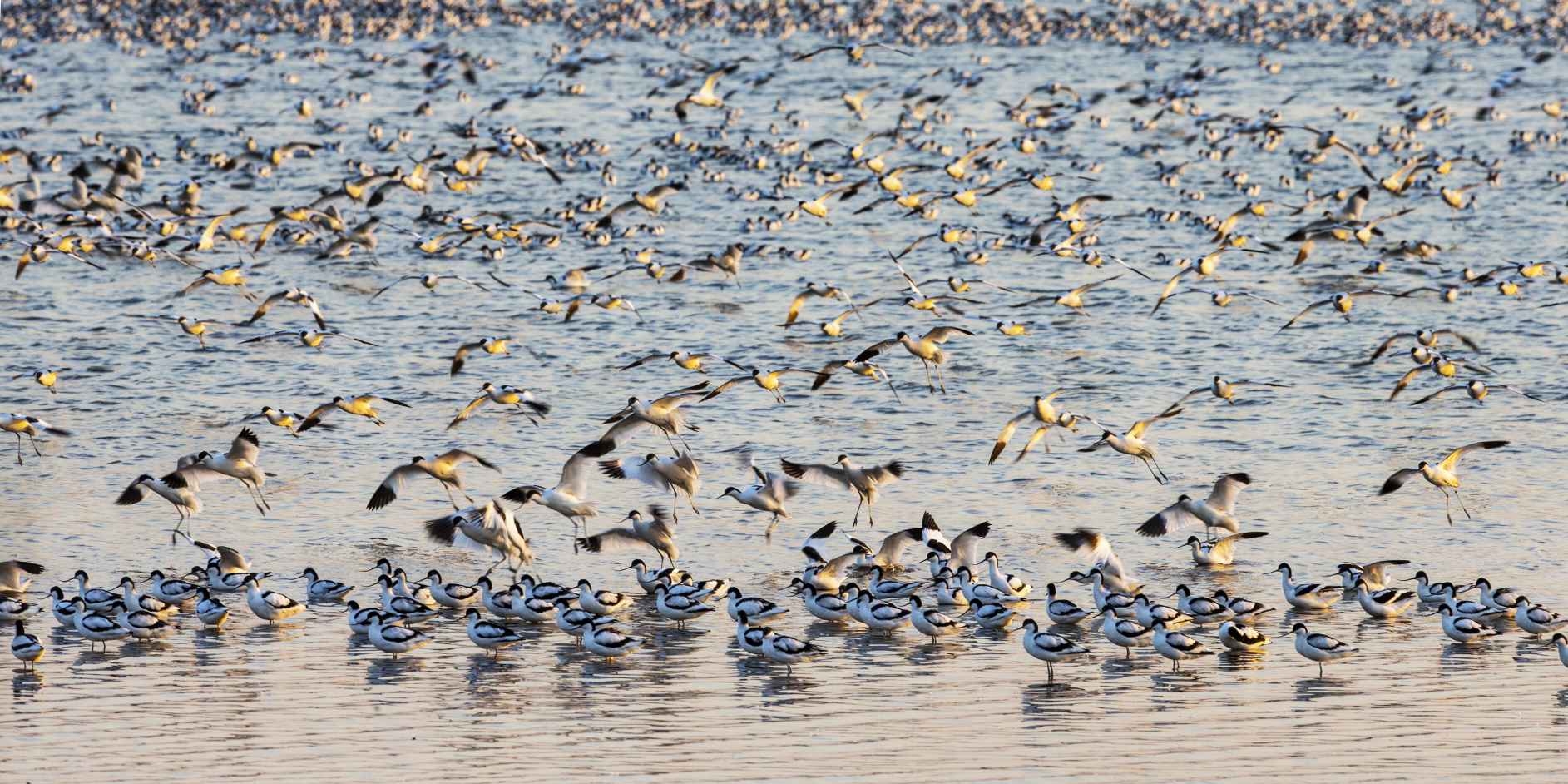 湖南政协新闻网