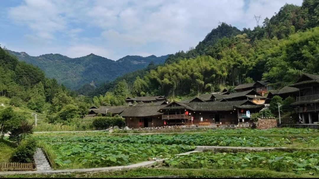 湖南政协新闻网