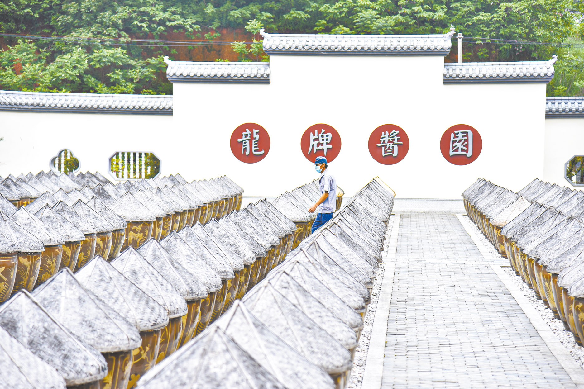 湖南政协新闻网