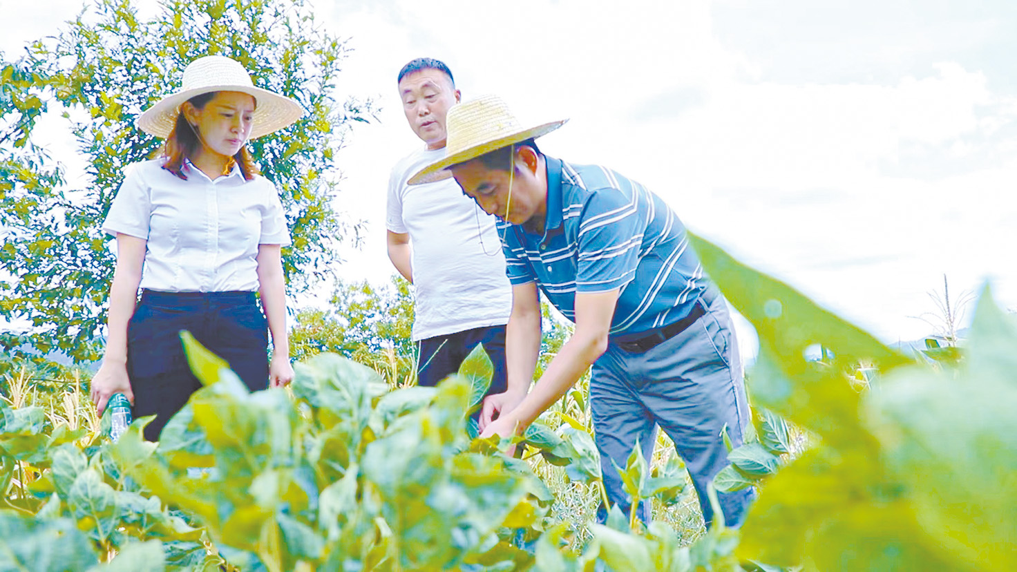 湖南政协新闻网