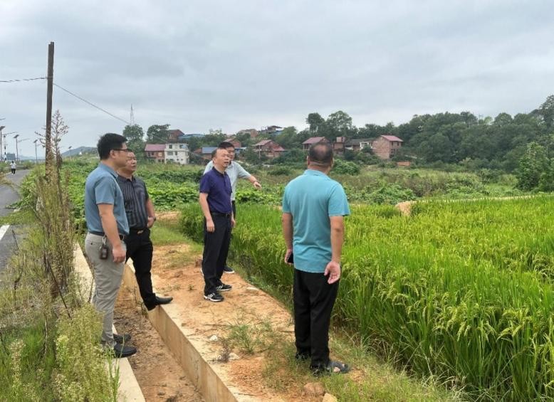 湖南政协新闻网