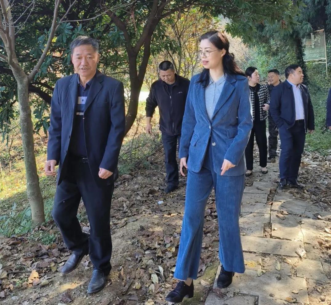 湖南政协新闻网