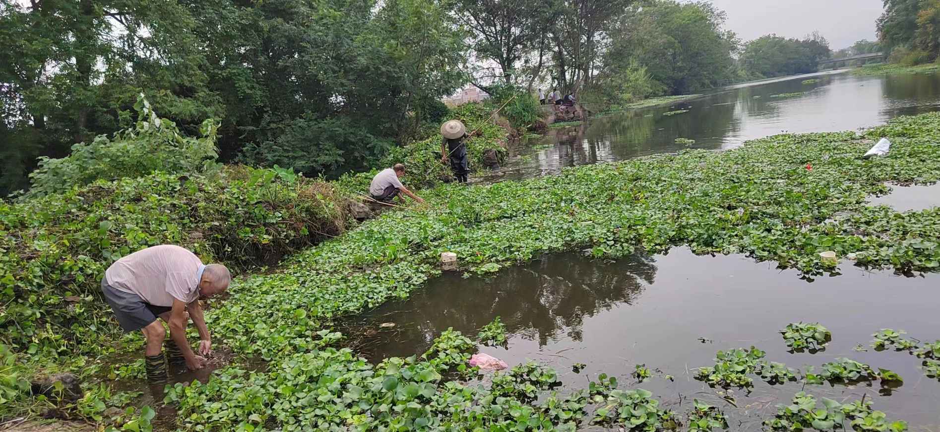 湖南政协新闻网