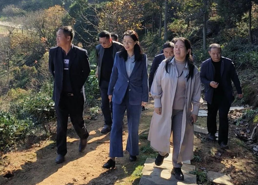 湖南政协新闻网