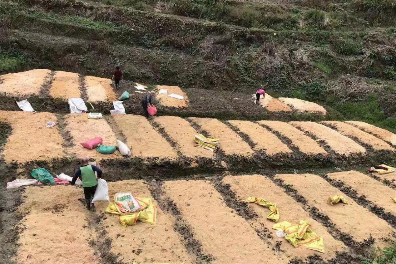 湖南政协新闻网
