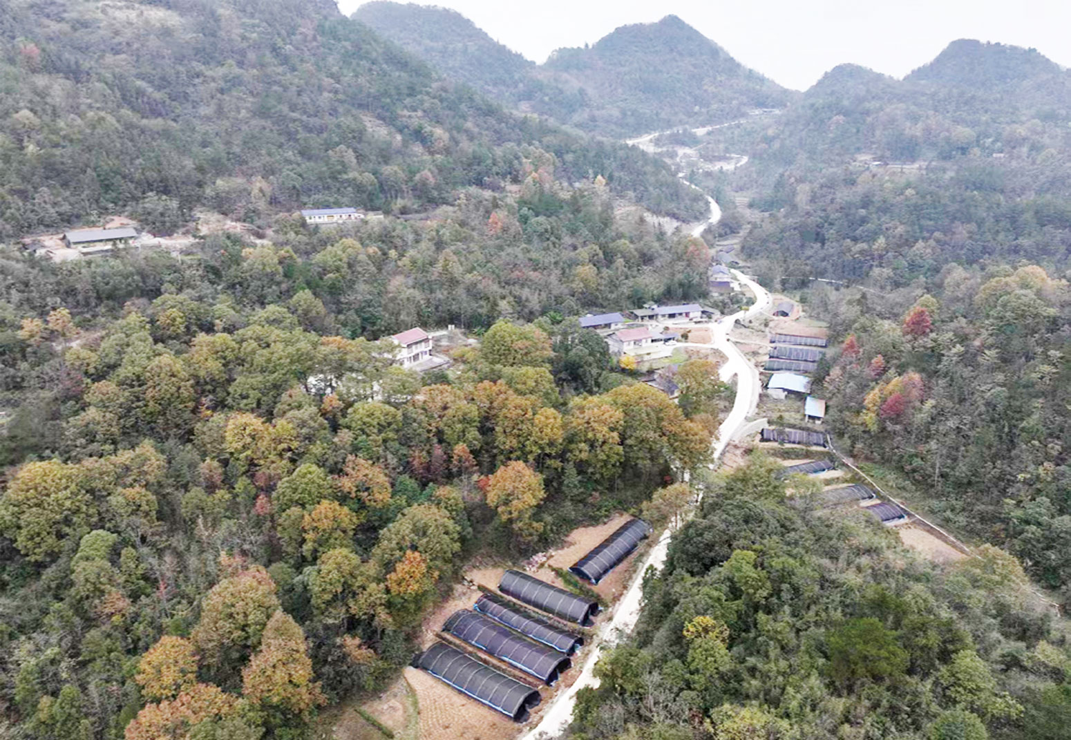 湖南政协新闻网