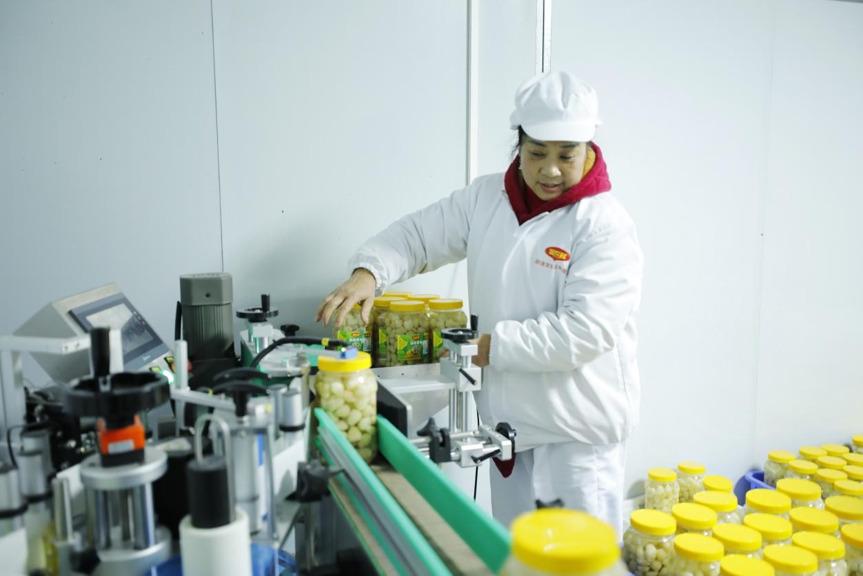 湖南政协新闻网