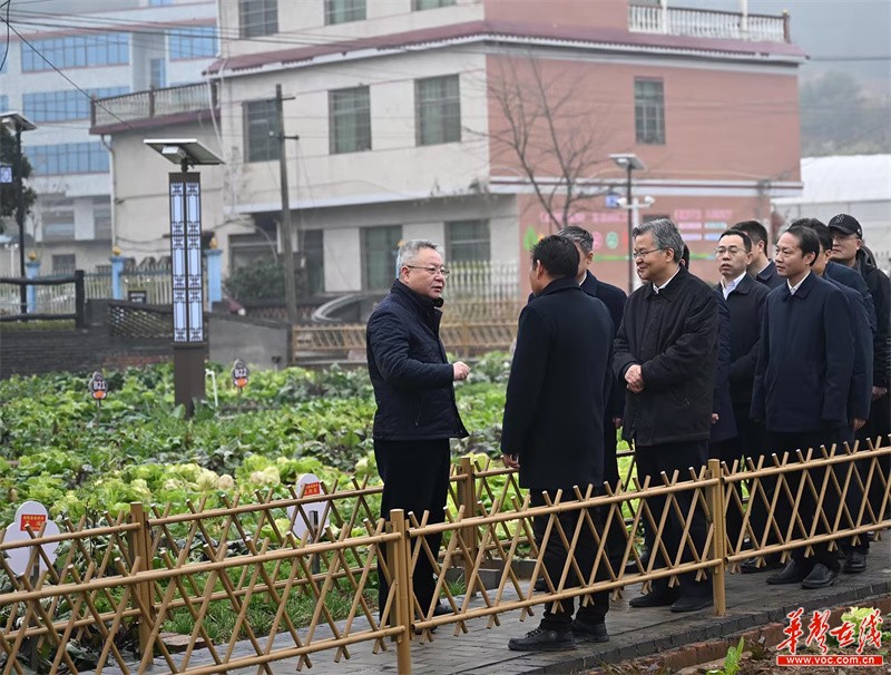 湖南政协新闻网
