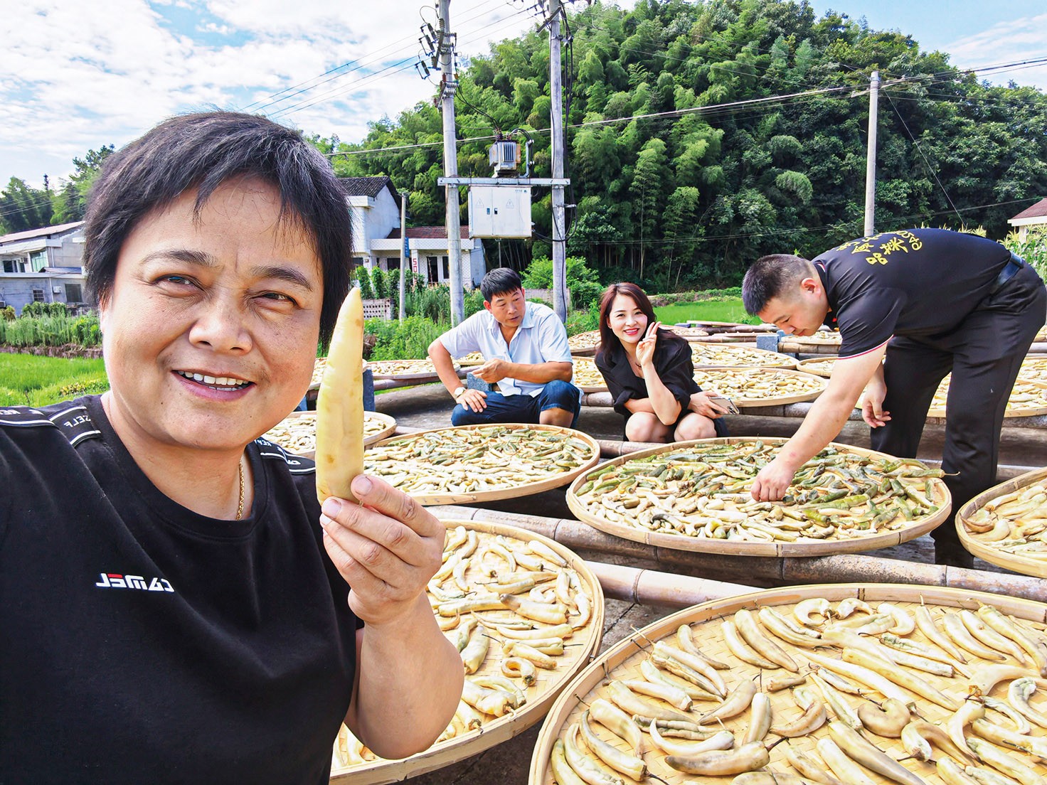 湖南政协新闻网