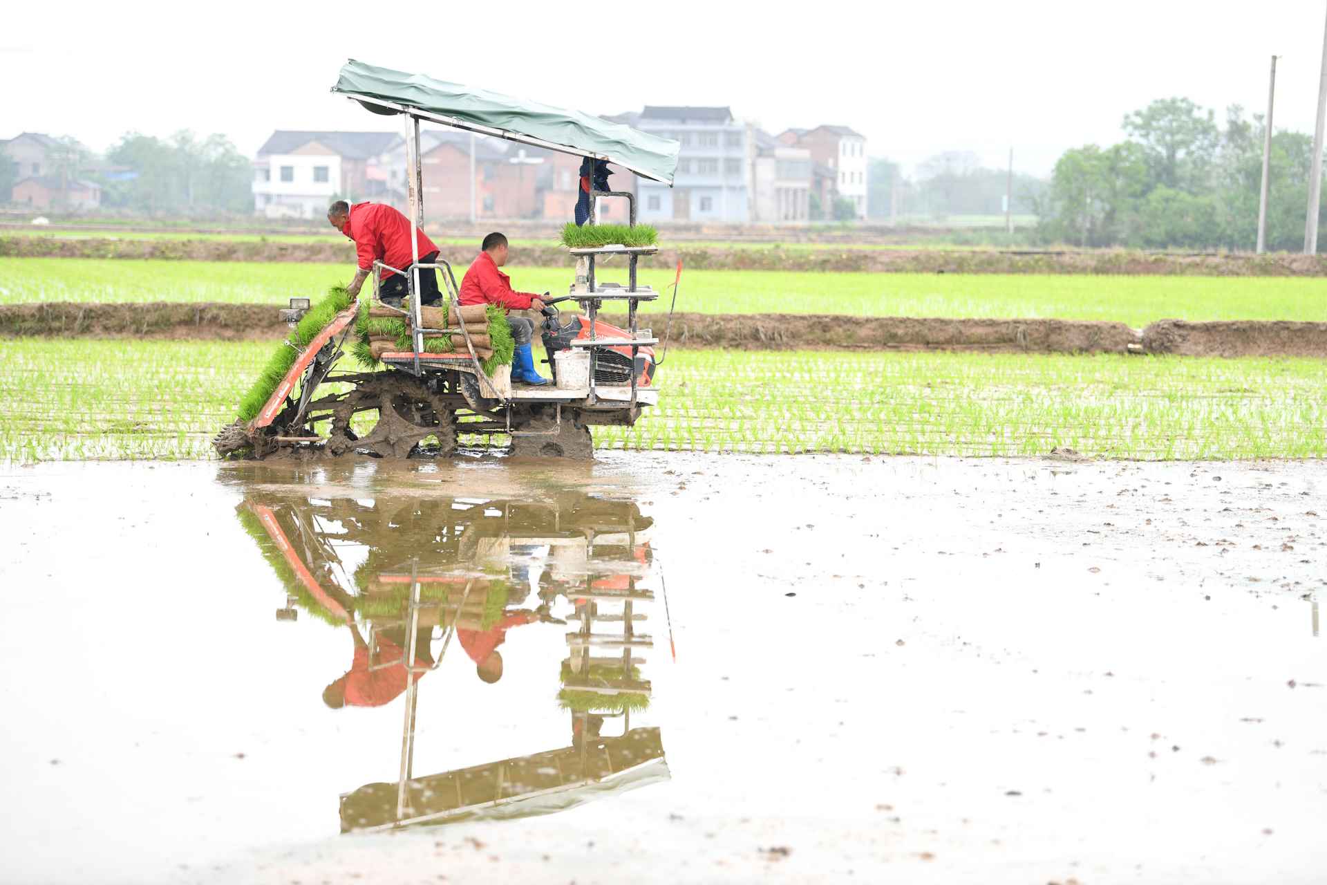 湖南政协新闻网