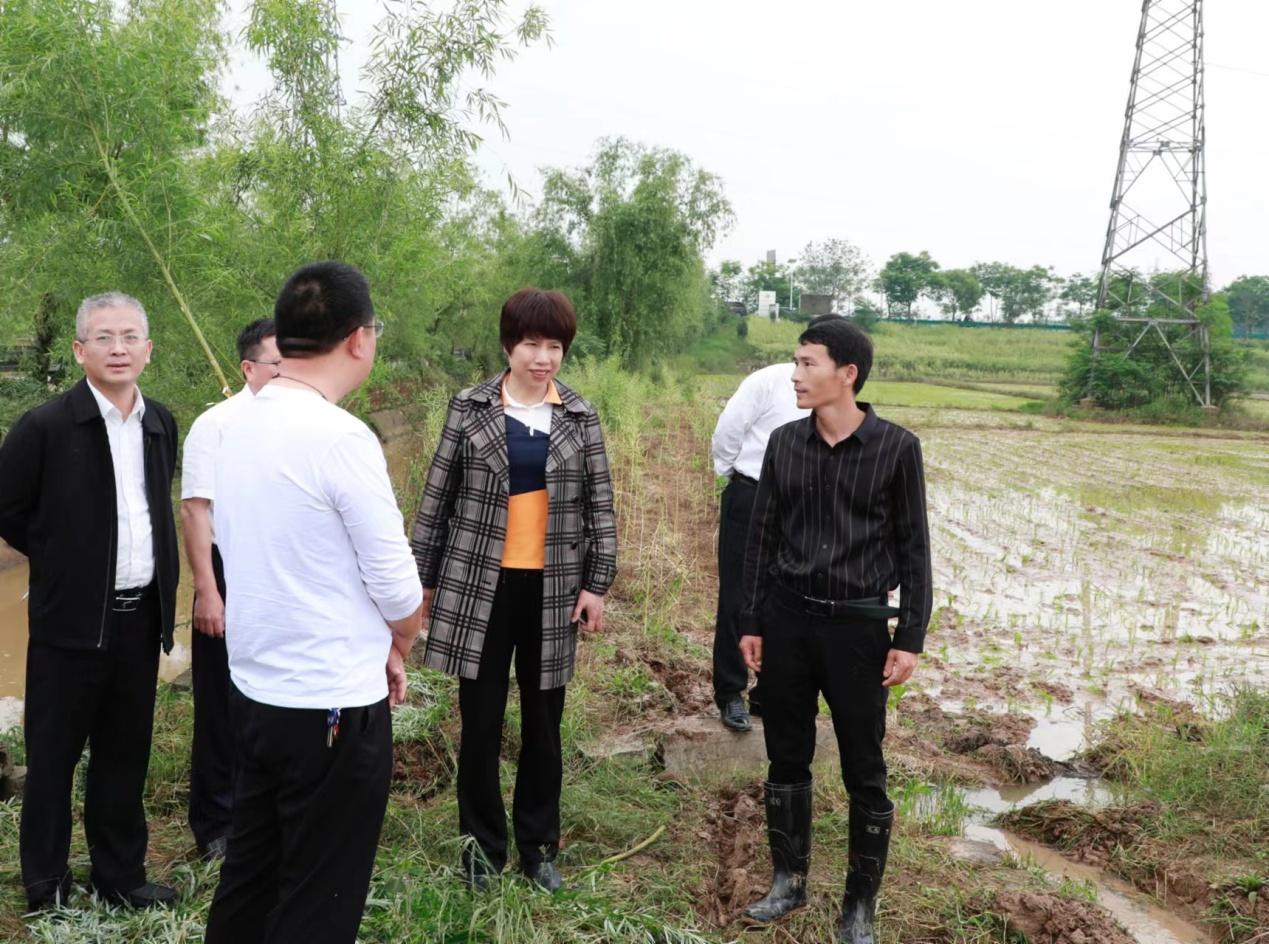 湖南政协新闻网