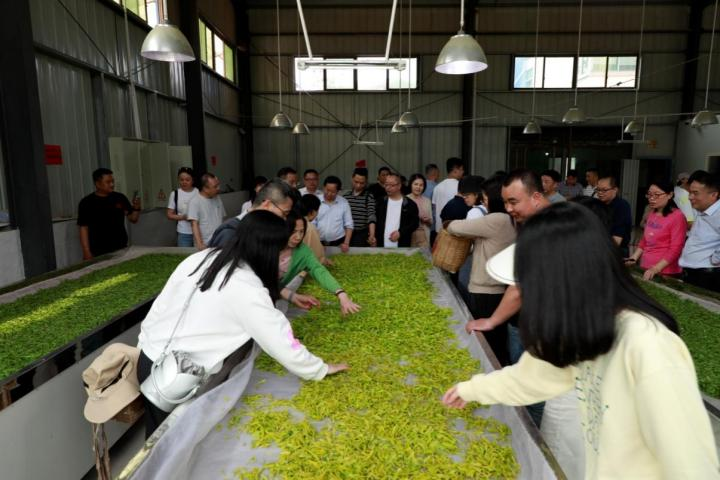 湖南政协新闻网