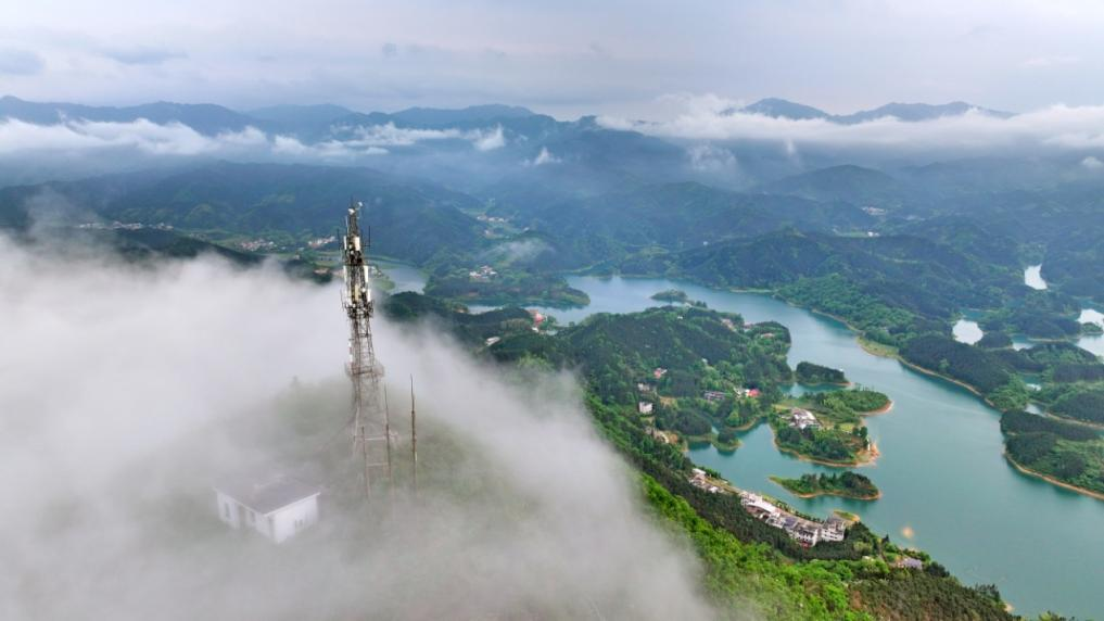 湖南政协新闻网