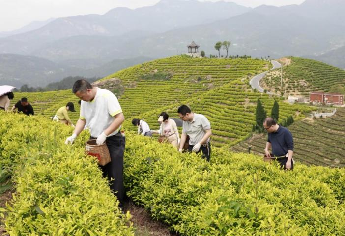 湖南政协新闻网