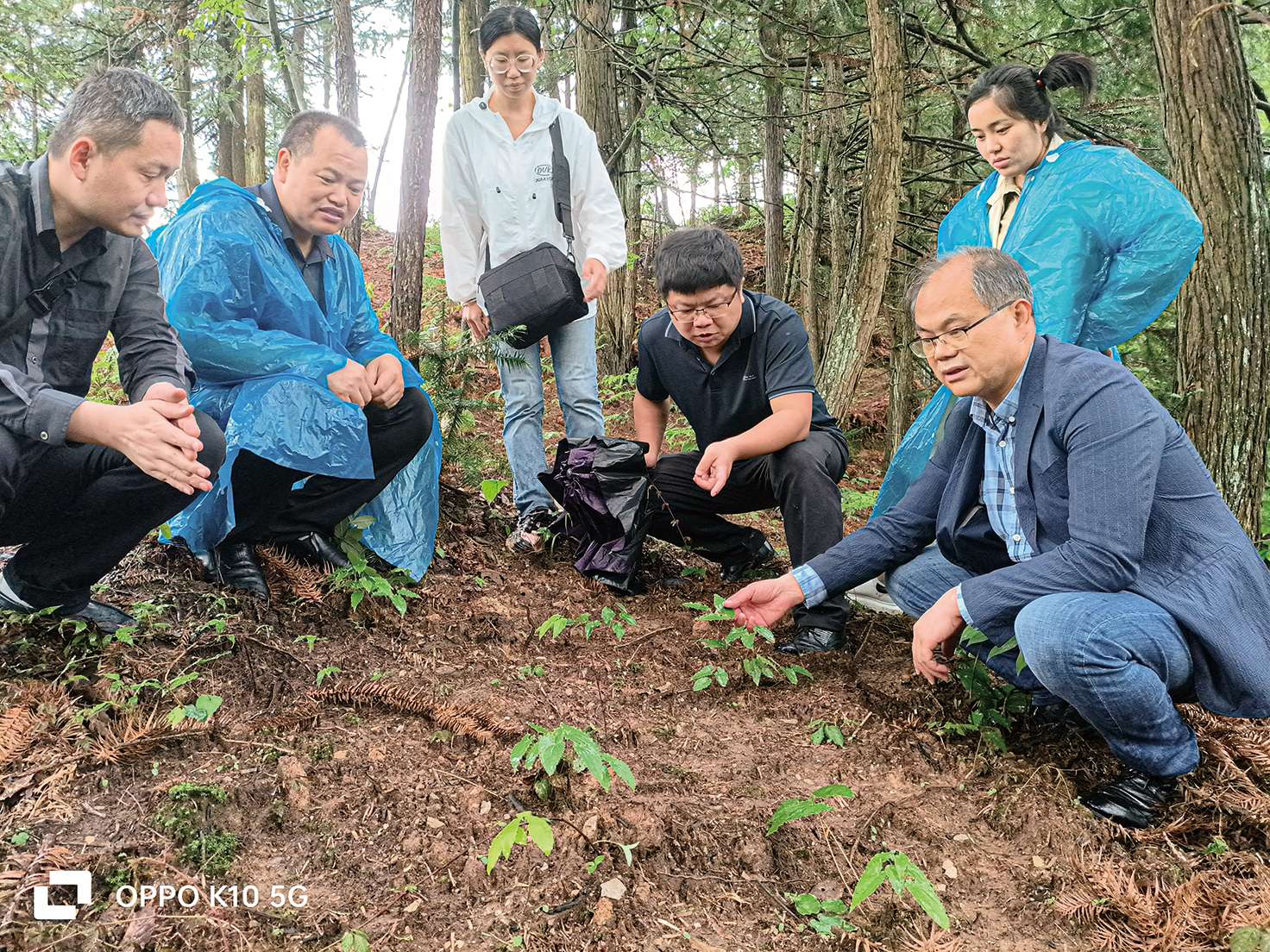 湖南政协新闻网