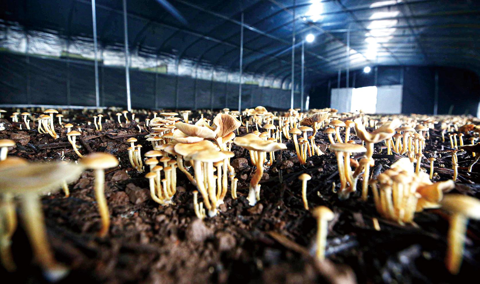 湖南政协新闻网