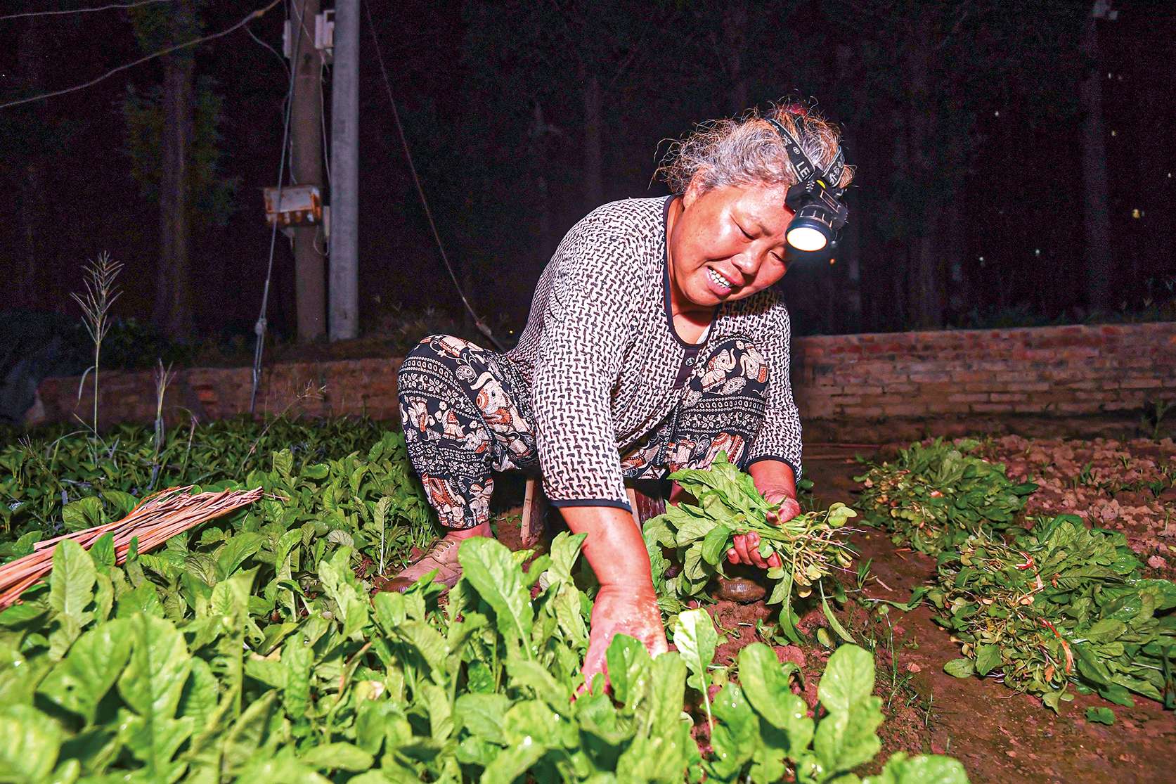 湖南政协新闻网