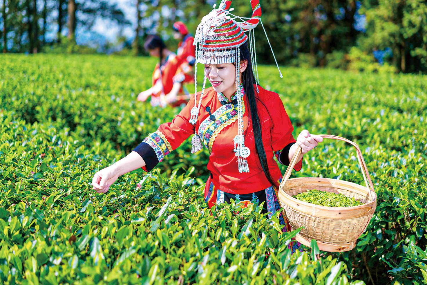 湖南政协新闻网 湖南政协新闻网