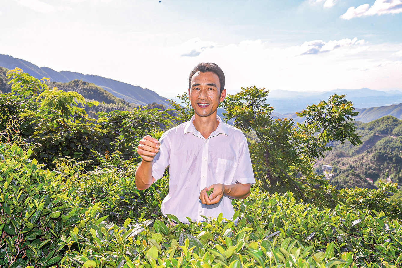 湖南政协新闻网 湖南政协新闻网