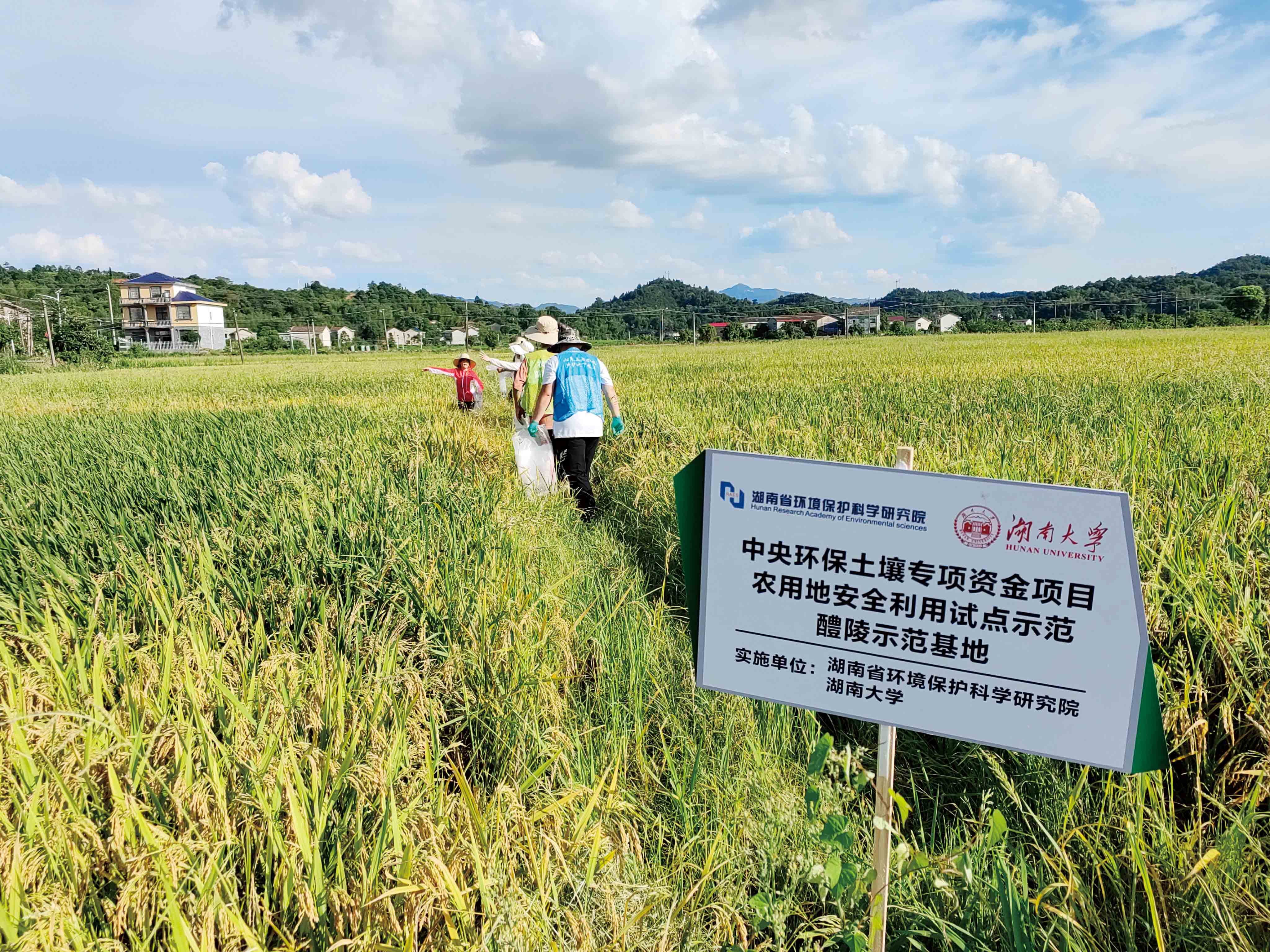 湖南政协新闻网
