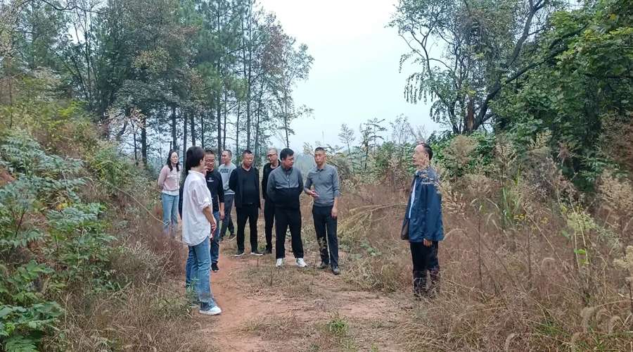 湖南政协新闻网