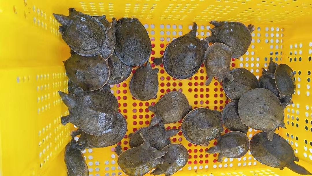 湖南政协新闻网 湖南政协新闻网