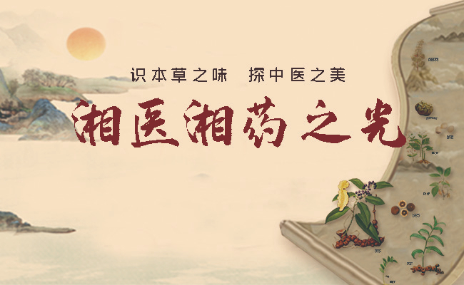 湘医湘药之光·650x400.jpg