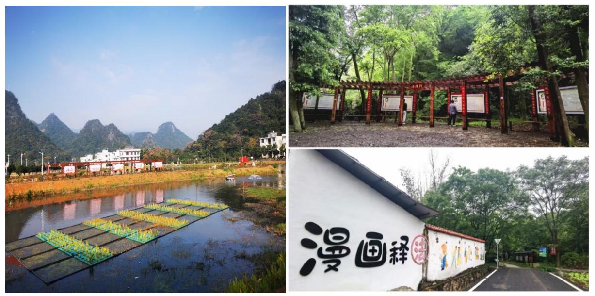 湖南政协新闻网
