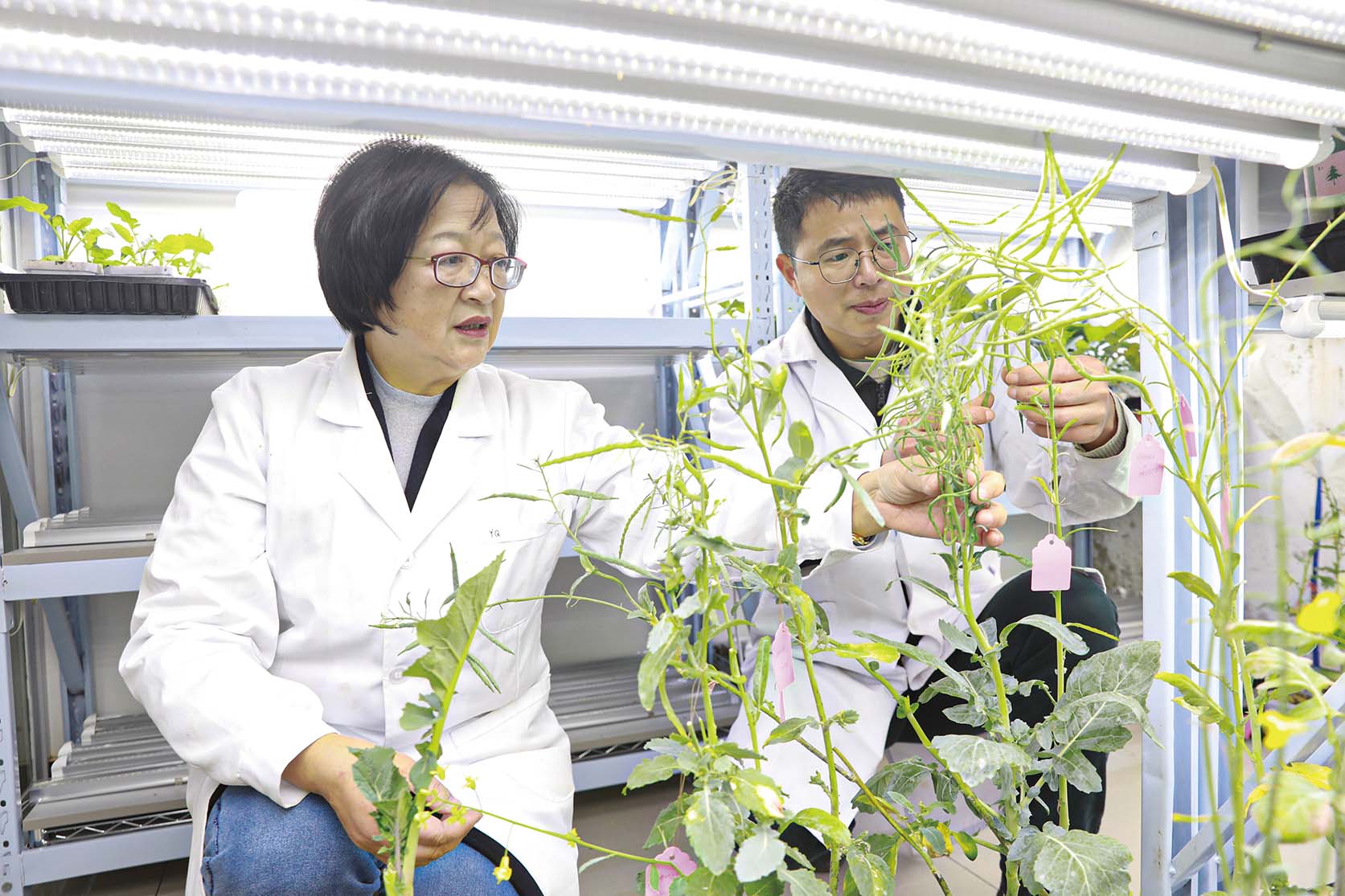 湖南政协新闻网