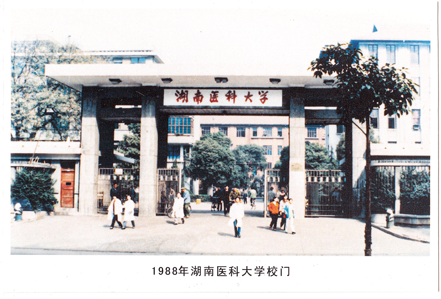 湖南政协新闻网