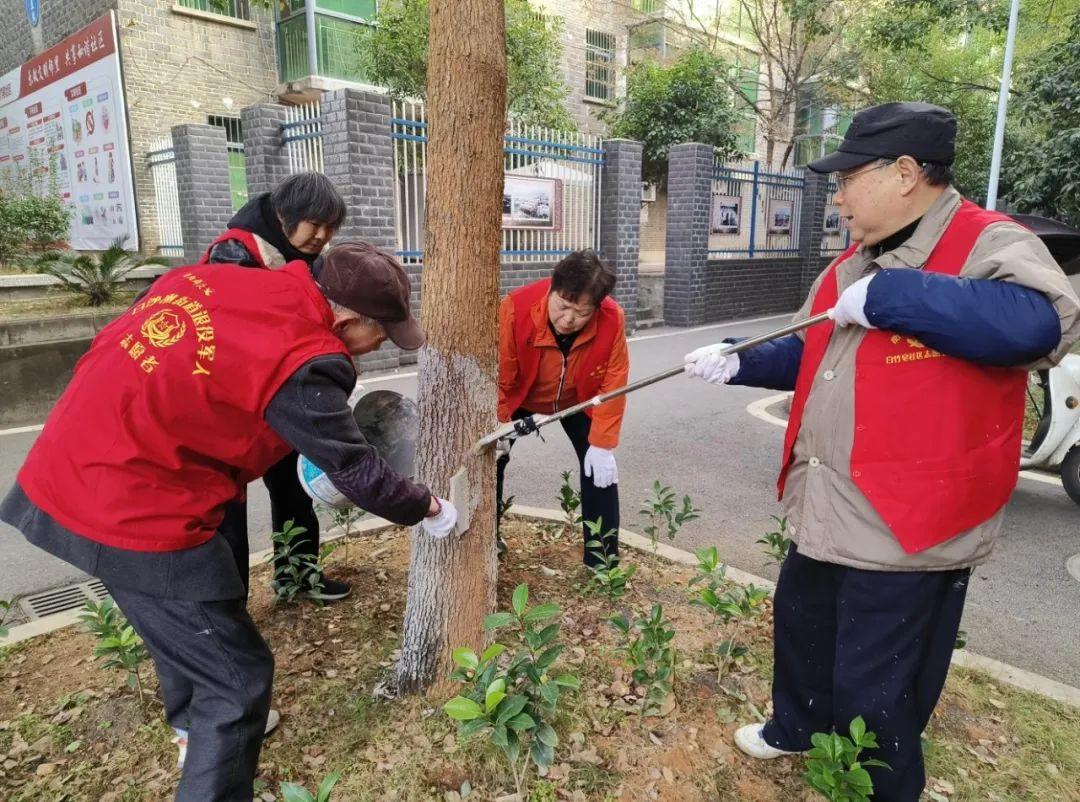 湖南政协新闻网