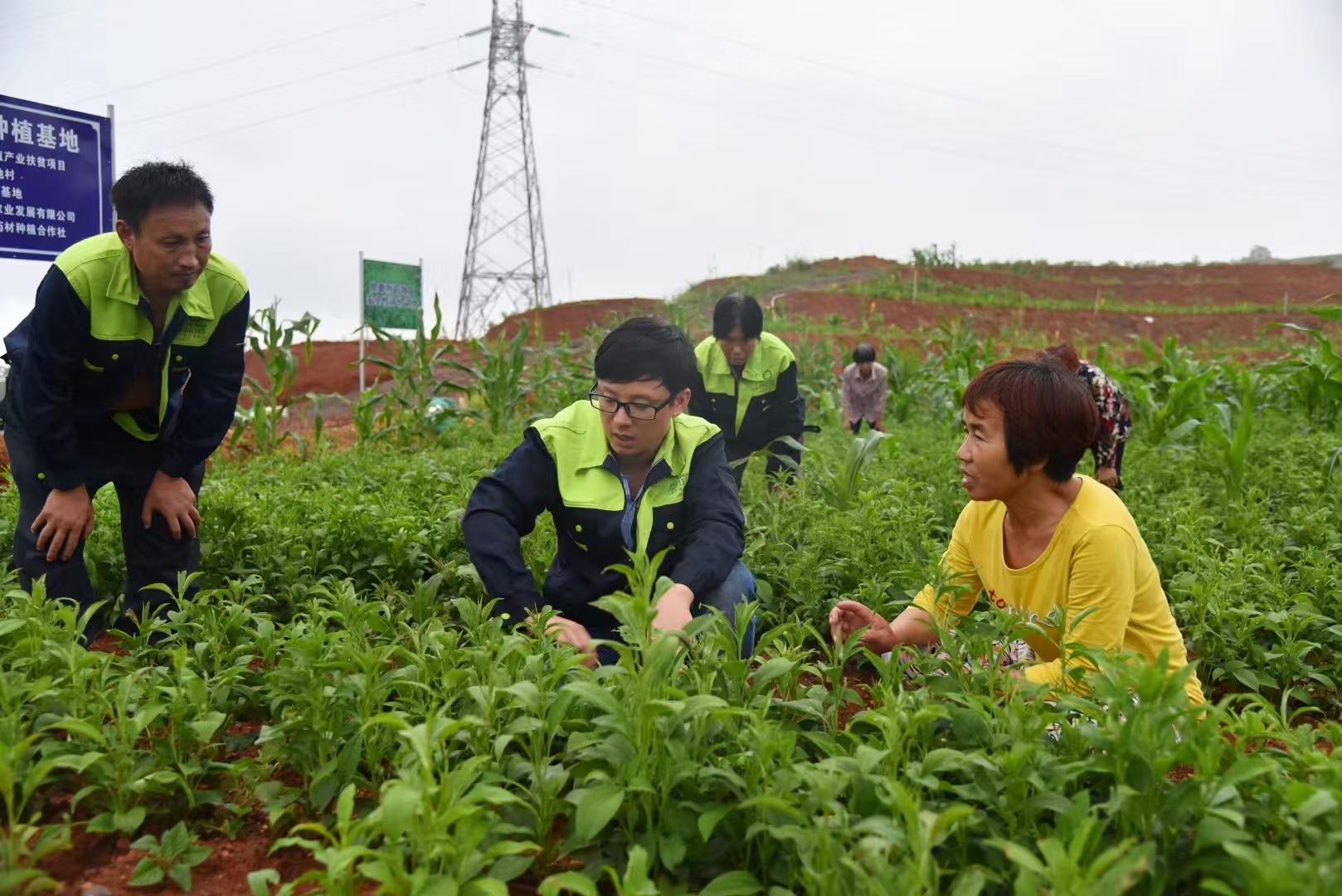 湖南政协新闻网