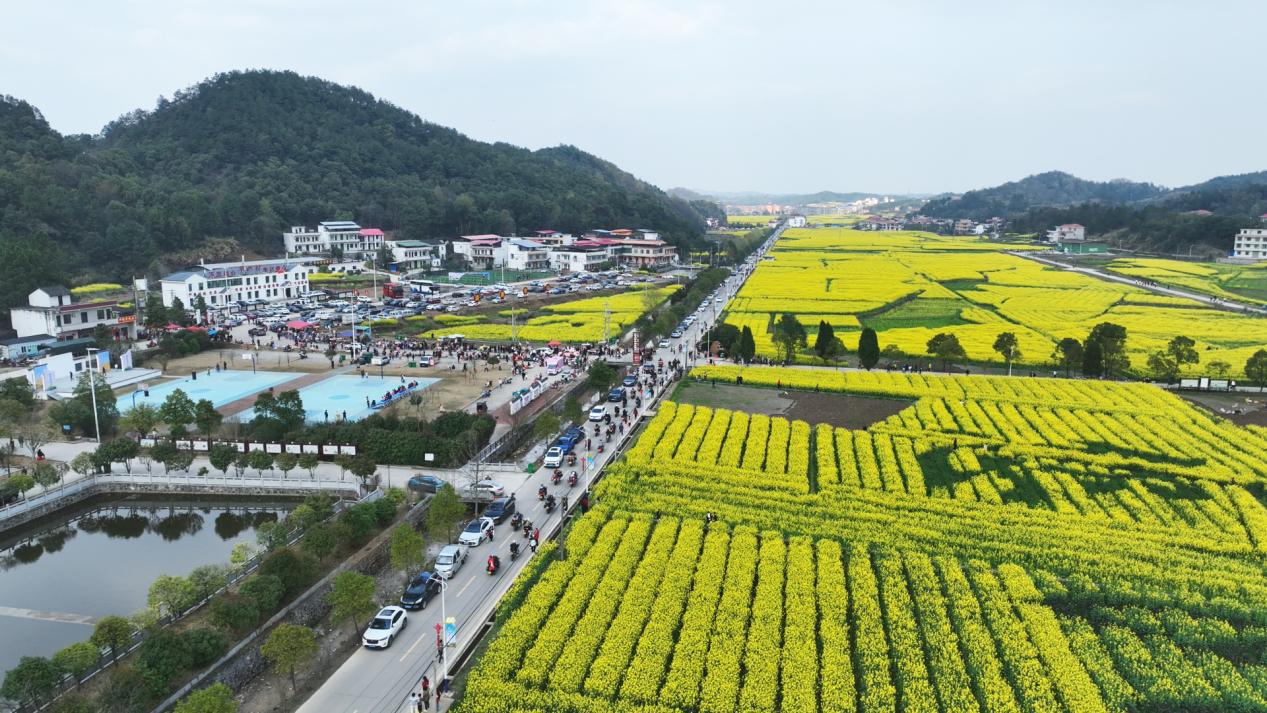 湖南政协新闻网