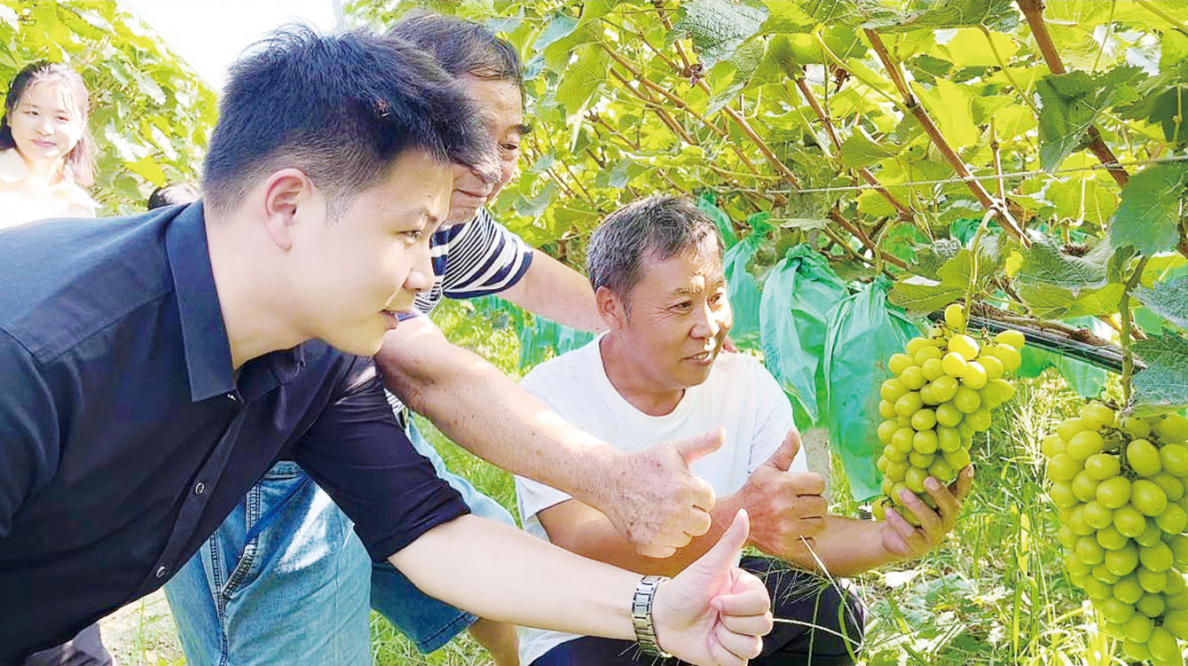 湖南政协新闻网